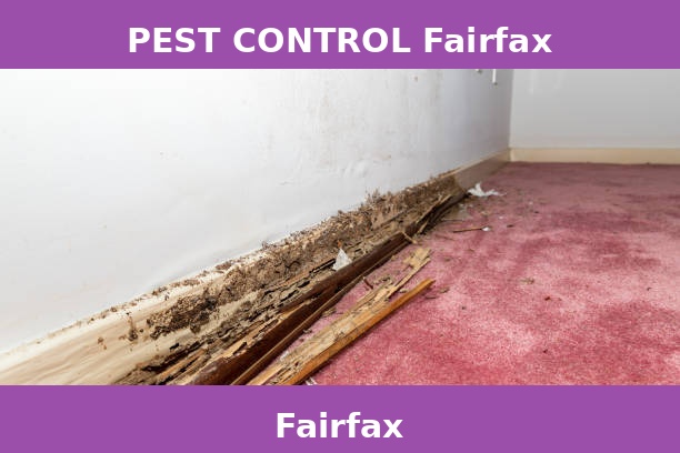 PEST CONTROL Fairfax